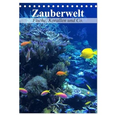 CALVENDO Zauberwelt. Fische, Korallen und Co. (Tischkalender 2026 DIN A5 hoch), Monatskalender: Ein Unterwasser-Planer für bunte Monate ( Tiere) CALVENDO Zauberwelt. Fische, Korallen und Co. (Tischkalender 2026 DIN A5 hoch), Monatskalender: Ein Unterwasser-Planer für bunte Monate ( Tiere)