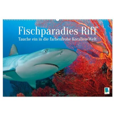 CALVENDO Fischparadies Riff (Wandkalender 2026 DIN A2 quer), Monatskalender: Fische am Riff: Tauche ein in die farbenfrohe Korallen-Welt ( Tiere) CALVENDO Fischparadies Riff (Wandkalender 2026 DIN A2 quer), Monatskalender: Fische am Riff: Tauche ein in die farbenfrohe Korallen-Welt ( Tiere)