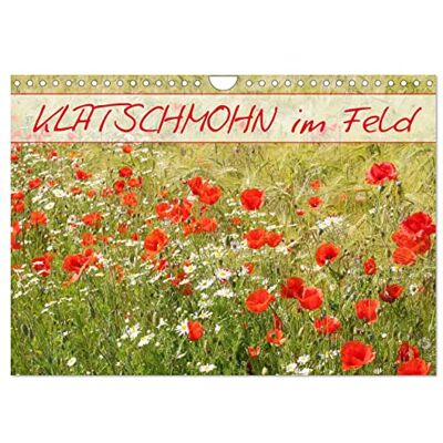 CALVENDO Klatschmohn im Feld (Wandkalender 2026 DIN A4 quer), Monatskalender: Ein Sommerkalender für das ganze Jahr ( Natur) CALVENDO Klatschmohn im Feld (Wandkalender 2026 DIN A4 quer), Monatskalender: Ein Sommerkalender für das ganze Jahr ( Natur)