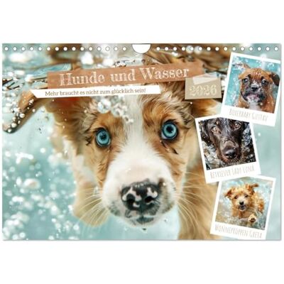CALVENDO Hunde und Wasser (Wandkalender 2026 DIN A4 quer), Monatskalender: Herrliches Chaos und glückliches Gebell ( Tiere) CALVENDO Hunde und Wasser (Wandkalender 2026 DIN A4 quer), Monatskalender: Herrliches Chaos und glückliches Gebell ( Tiere)