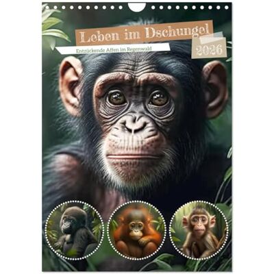 CALVENDO Leben im Dschungel. Entzückende Affen im Regenwald (Wandkalender 2026 DIN A4 hoch), Monatskalender: Die beliebtesten Exoten in unseren tropischen Urwäldern ( Tiere) CALVENDO Leben im Dschungel. Entzückende Affen im Regenwald (Wandkalender 2026 DIN A4 hoch), Monatskalender: Die beliebtesten Exoten in unseren tropischen Urwäldern ( Tiere)