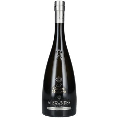 Bottega Alexander Aqva Di Vita Grappa Moscato 38% Vol. 0,7l Bottega Alexander Aqva Di Vita Grappa Moscato 38% Vol. 0,7l
