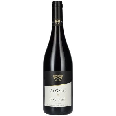 AI GALLI Pinot Nero Veneto IGT 2024 13% Vol. 0,75l AI GALLI Pinot Nero Veneto IGT 2024 13% Vol. 0,75l