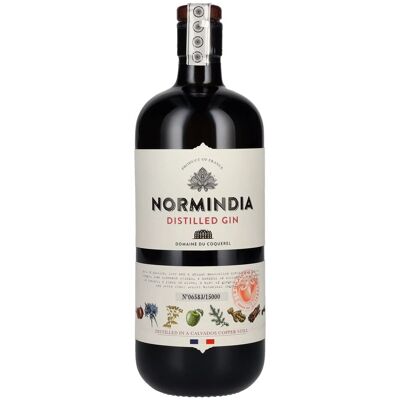 Normindia Gin Distillé 41,4% Vol. 0,7l Normindia Gin Distillé 41,4% Vol. 0,7l