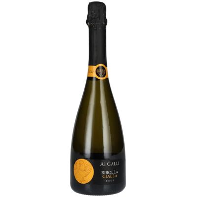 AI GALLI Ribolla Gialla Brut 12% Vol. 0,75l AI GALLI Ribolla Gialla Brut 12% Vol. 0,75l