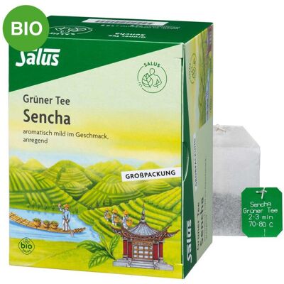 Grüner Tee bio Salus Filterbeutel Grosspackung 40stk Grüner Tee bio Salus Filterbeutel Grosspackung 40stk