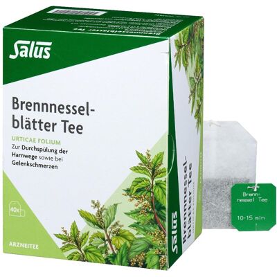 Brennnesselblätter Tee Bio Urticae folium Salus 40stk Brennnesselblätter Tee Bio Urticae folium Salus 40stk