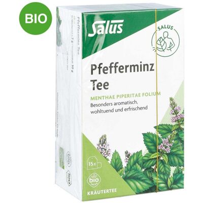 Pfefferminz Tee Menthae piperitae folium bio Salus 15stk Pfefferminz Tee Menthae piperitae folium bio Salus 15stk
