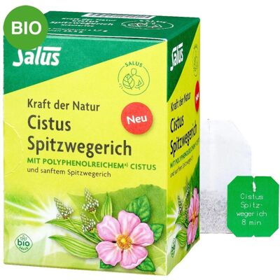 Salus Kraft der Natur Cistus Spitzwegerich Tee Bio Filterbeutel 15stk Salus Kraft der Natur Cistus Spitzwegerich Tee Bio Filterbeutel 15stk