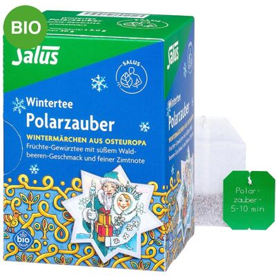 Salus Polarzauber Früchte-Gewürztee Bio Filterbeutel 15stk Salus Polarzauber Früchte-Gewürztee Bio Filterbeutel 15stk