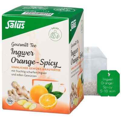 Ingwer Orange Spicy Tee Salus 15stk Ingwer Orange Spicy Tee Salus 15stk