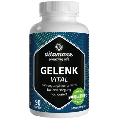 Vitamaze GELENK VITAL 90stk Vitamaze GELENK VITAL 90stk