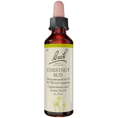 Bachblüten Chestnut Bud Tropfen 20ml Bachblüten Chestnut Bud Tropfen 20ml