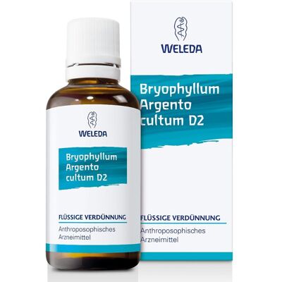 Weleda Bryophyllum Argento Cultum D 2 - Homöopathische Lösung Weleda Bryophyllum Argento Cultum D 2 - Homöopathische Lösung