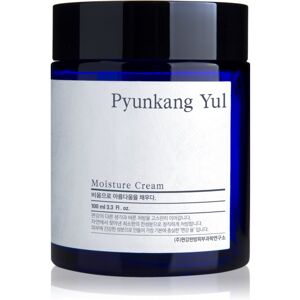 Pyunkang Yul Feuchtigkeitscreme (100ml) Pyunkang Yul Feuchtigkeitscreme (100ml)