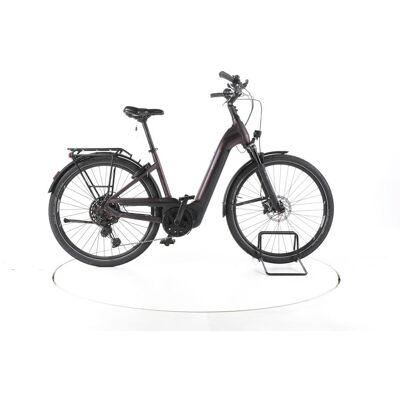 Pegasus Premio EVO Lite Trekking E-Bike Tiefeinsteiger - 302677 Pegasus Premio EVO Lite Trekking E-Bike Tiefeinsteiger - 302677