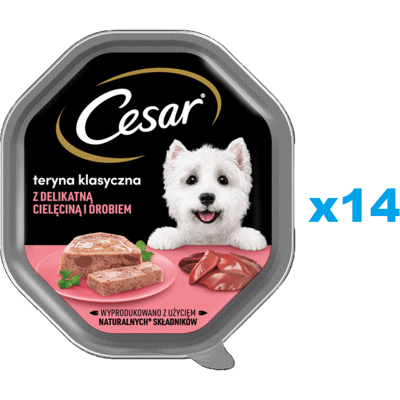 CESAR Schale 14x 150 g : Nassvollnahrung für ausgewachsene Hunde: Terrine mit zartem Kalbfleisch und Geflügel CESAR Schale 14x 150 g : Nassvollnahrung für ausgewachsene Hunde: Terrine mit zartem Kalbfleisch und Geflügel