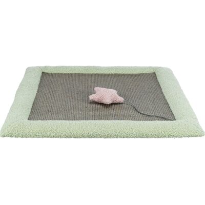 Trixie Junior Kratzmatte - 47x47 cm - Grau/Mint Trixie Junior Kratzmatte - 47x47 cm - Grau/Mint