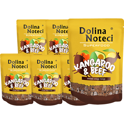 DOLINA NOTECI SuperFood Känguru und Rindfleisch 10x300 g DOLINA NOTECI SuperFood Känguru und Rindfleisch 10x300 g