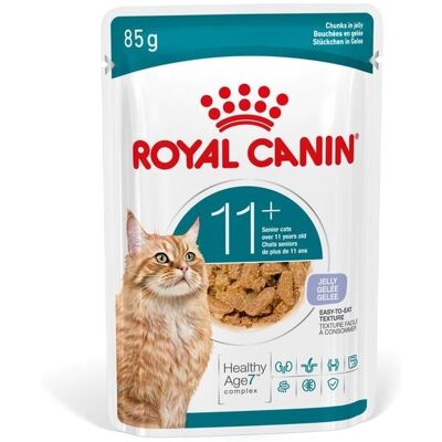 ROYAL CANIN Ageing 11+ Jelly 12x85 g kawałki w galaretce dla kotów dojrzałych po 11 roku życia ROYAL CANIN Ageing 11+ Jelly 12x85 g kawałki w galaretce dla kotów dojrzałych po 11 roku życia