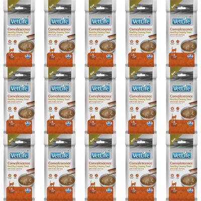 FARMINA Vet Life Cat Convalescence cremiger Snack mit Huhn und Thunfisch für Katzen zur Unterstützung der Regeneration des Körpers 15x60 g FARMINA Vet Life Cat Convalescence cremiger Snack mit Huhn und Thunfisch für Katzen zur Unterstützung der Regeneration des Körpers 15x60 g