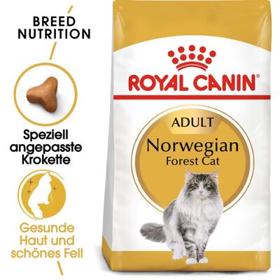 ROYAL CANIN Norwegian Forest Cat Adult Trockenfutter für Norwegische Waldkatzen 2 kg ROYAL CANIN Norwegian Forest Cat Adult Trockenfutter für Norwegische Waldkatzen 2 kg