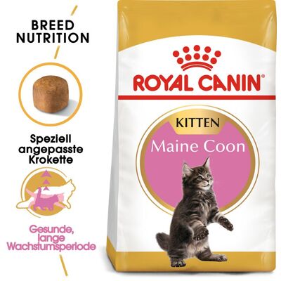 ROYAL CANIN Maine Coon Kittenfutter trocken für Kätzchen 2 kg ROYAL CANIN Maine Coon Kittenfutter trocken für Kätzchen 2 kg