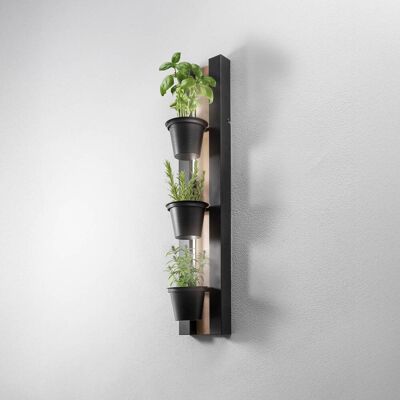 Wandleuchte Shelf Luminex, schwarz, für Wohn- / Esszimmer, Metall, Modern Wandleuchte Shelf Luminex, schwarz, für Wohn- / Esszimmer, Metall, Modern