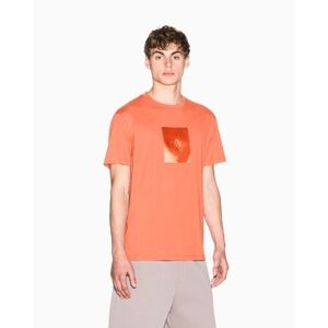 Giorgio Armani A X Armani Exchange für Herren. XM002213AF10356U3040 Regelmäßiges T-Shirt orange (S), Lässig, Rosa, Baumwolle, Kurzarm Giorgio Armani A X Armani Exchange für Herren. XM002213AF10356U3040 Regelmäßiges T-Shirt orange (S), Lässig, Rosa, Baumwolle, Kurzarm