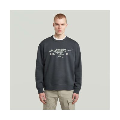 G-Star für Herren. D27095-D733-H392 Running Dog Rücken Pullover grau (L), Lässig, Baumwolle G-Star für Herren. D27095-D733-H392 Running Dog Rücken Pullover grau (L), Lässig, Baumwolle