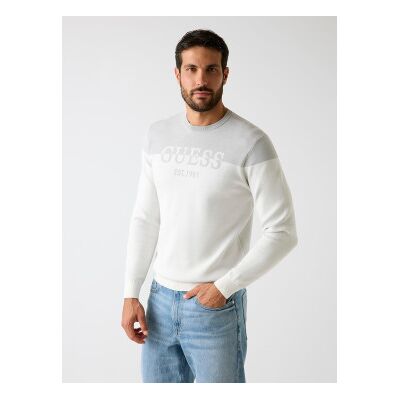 Guess für Herren. M6RR20Z4492 Pullover mit Logo auf der Vorderseite grau, weiß (XL), Lässig, Lyocell Guess für Herren. M6RR20Z4492 Pullover mit Logo auf der Vorderseite grau, weiß (XL), Lässig, Lyocell