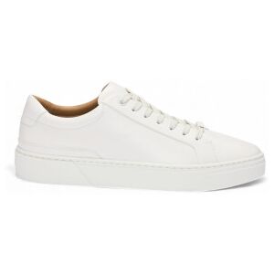 Boss für Herren. 50536841 Gary Leder Turnschuhe weiß (41), Wohnung, Schnürsenkel, Lässig Boss für Herren. 50536841 Gary Leder Turnschuhe weiß (41), Wohnung, Schnürsenkel, Lässig