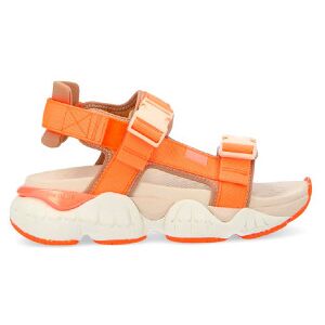 NO NAME für Damen. QNVNN60 Sandalen Krazee orange (37), Stoff, Wohnung, Schnalle, Lässig NO NAME für Damen. QNVNN60 Sandalen Krazee orange (37), Stoff, Wohnung, Schnalle, Lässig
