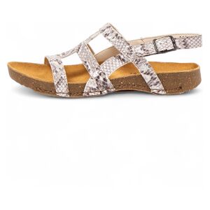 ART für Damen. 11138S137003_017 1138S Breathe Ledersandalen weiß (37), Wohnung, Schnalle, Lässig ART für Damen. 11138S137003_017 1138S Breathe Ledersandalen weiß (37), Wohnung, Schnalle, Lässig