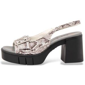 ART für Damen. 119941223003_017 1994 Sandalen aus Leder mit Tiermotiven (38), Weiß, 8 bis 10 cm, Schnalle, Lässig ART für Damen. 119941223003_017 1994 Sandalen aus Leder mit Tiermotiven (38), Weiß, 8 bis 10 cm, Schnalle, Lässig