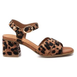 Carmela für Damen. 16219208-LEOPARDO Braune Leder-Sandalen 162192 (41), 3 bis 5 cm, Schnalle, Lässig, Party, Tierdruck Carmela für Damen. 16219208-LEOPARDO Braune Leder-Sandalen 162192 (41), 3 bis 5 cm, Schnalle, Lässig, Party, Tierdruck