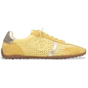 Carmela für Damen. 16310904-AMARILLO Leder Turnschuhe 163109 gelb (40), Wohnung, Spaltleder, Schnürsenkel, Lässig Carmela für Damen. 16310904-AMARILLO Leder Turnschuhe 163109 gelb (40), Wohnung, Spaltleder, Schnürsenkel, Lässig