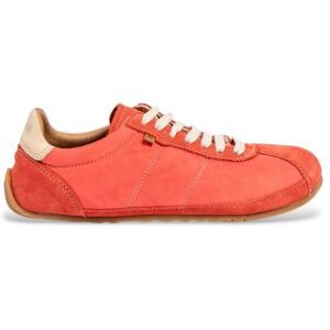 El Naturalista Unisex. 25935A117005_M17 Turnschuhe N5935A koralle (38), Wohnung, Schnürsenkel, Lässig El Naturalista Unisex. 25935A117005_M17 Turnschuhe N5935A koralle (38), Wohnung, Schnürsenkel, Lässig