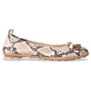 Hispanitas für Damen. HV253931 Ballerinas Bombay grau (38), Leder, Wohnung, Keine, Lässig, Taupe Hispanitas für Damen. HV253931 Ballerinas Bombay grau (38), Leder, Wohnung, Keine, Lässig, Taupe