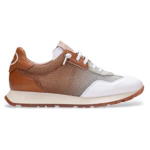 Hispanitas für Damen. BHV253869 Turnschuhe Kansas weiß (37), Leder, Braun, 3 bis 5 cm, Schnürsenkel, Lässig Hispanitas für Damen. BHV253869 Turnschuhe Kansas weiß (37), Leder, Braun, 3 bis 5 cm, Schnürsenkel, Lässig