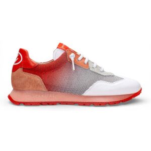 Hispanitas für Damen. BHV253869 Turnschuhe Kansas weiß (41), Leder, Rot, Wohnung, Schnürsenkel, Lässig Hispanitas für Damen. BHV253869 Turnschuhe Kansas weiß (41), Leder, Rot, Wohnung, Schnürsenkel, Lässig