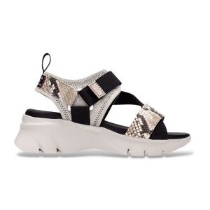 Hispanitas für Damen. HV254007 Sandalen Dakar grau (37), Leder, Schwarz, 3 bis 5 cm, Klettverschluss, Lässig, Taupe Hispanitas für Damen. HV254007 Sandalen Dakar grau (37), Leder, Schwarz, 3 bis 5 cm, Klettverschluss, Lässig, Taupe