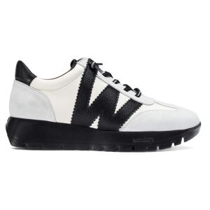 Wonders für Damen. A-2476 Racer Leder Turnschuhe weiß (36), Wohnung, 1 bis 3 cm, Schnürsenkel, Lässig Wonders für Damen. A-2476 Racer Leder Turnschuhe weiß (36), Wohnung, 1 bis 3 cm, Schnürsenkel, Lässig
