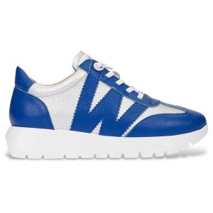 Wonders für Damen. A-2476 Lederturnschuhe Odisei 76 silber, blau (38), 3 bis 5 cm, Schnürsenkel, Lässig Wonders für Damen. A-2476 Lederturnschuhe Odisei 76 silber, blau (38), 3 bis 5 cm, Schnürsenkel, Lässig
