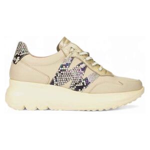 Wonders für Damen. A-4002 Samira beige Schlangenleder Hausschuhe (40), 3 bis 5 cm, Schnürsenkel, Lässig Wonders für Damen. A-4002 Samira beige Schlangenleder Hausschuhe (40), 3 bis 5 cm, Schnürsenkel, Lässig