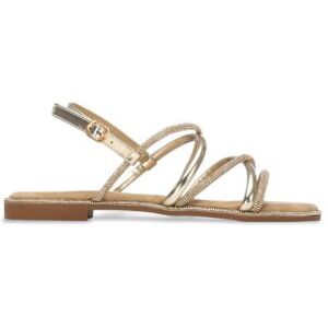 Xti für Damen. 14510602-ORO Sandalen 145106 gold (40), Wohnung, Schnalle, Lässig, Party, Sportlich Xti für Damen. 14510602-ORO Sandalen 145106 gold (40), Wohnung, Schnalle, Lässig, Party, Sportlich