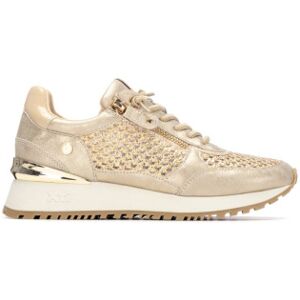 Xti für Damen. 14519401-ORO Turnschuhe 145194 gold (39), Wohnung, Reißverschluss, Lässig Xti für Damen. 14519401-ORO Turnschuhe 145194 gold (39), Wohnung, Reißverschluss, Lässig