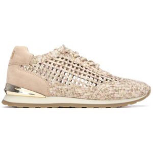 Xti für Damen. 14519601-BEIGE Turnschuhe 145196 beige (38), Wohnung, Schnürsenkel, Lässig Xti für Damen. 14519601-BEIGE Turnschuhe 145196 beige (38), Wohnung, Schnürsenkel, Lässig