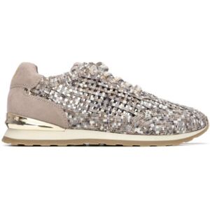 Xti für Damen. 14519604-TAUPE Turnschuhe 145196 taupe (37), Wohnung, Schnürsenkel, Lässig Xti für Damen. 14519604-TAUPE Turnschuhe 145196 taupe (37), Wohnung, Schnürsenkel, Lässig