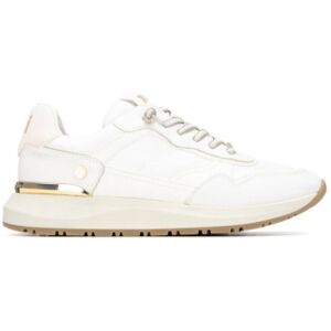 Xti für Damen. 14520104-BLANCO Turnschuhe 145201 weiß (38), Wohnung, Schnürsenkel, Lässig Xti für Damen. 14520104-BLANCO Turnschuhe 145201 weiß (38), Wohnung, Schnürsenkel, Lässig